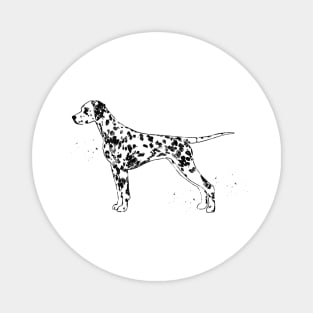 Dalmatian dog Magnet